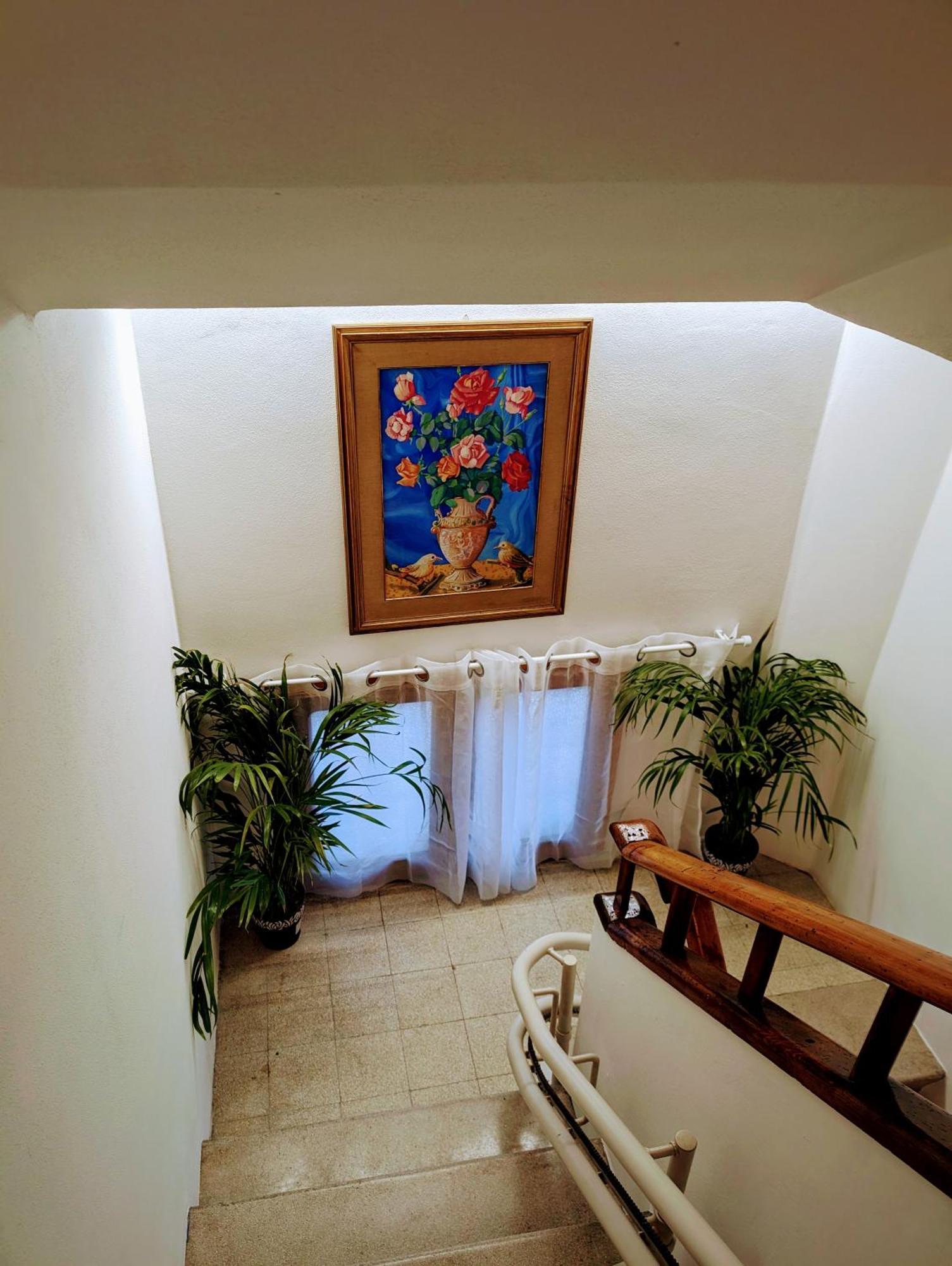Guest House Il Glicine Stadio - Ospedale เชซานา ภายนอก รูปภาพ